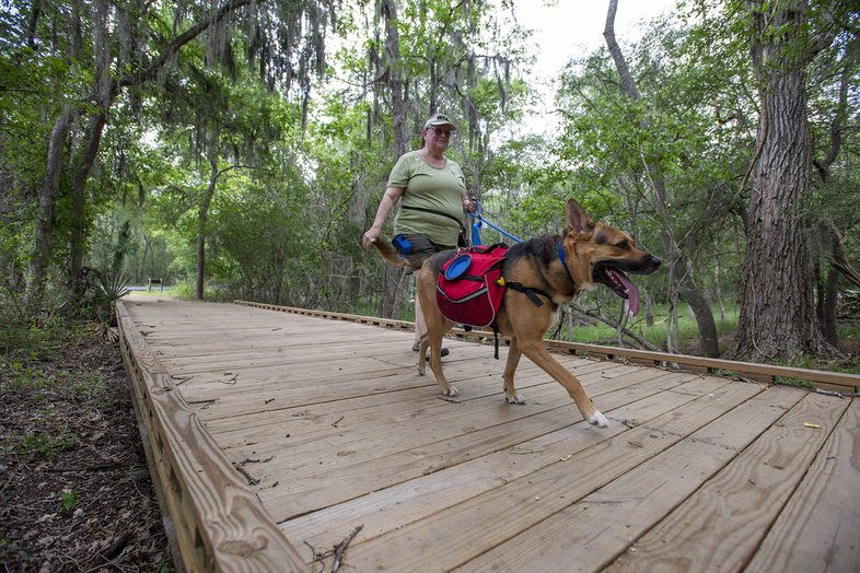 Ottine Swamp Trail at Palmetto State Park