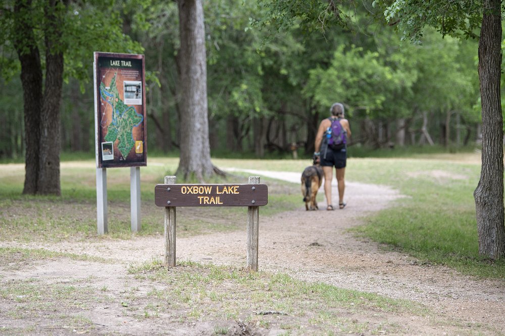 Oxbow Trail at Palmetto State Park