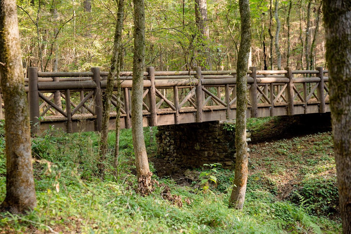 Trail bridge in the woods.