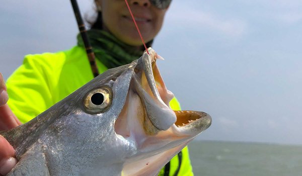 Woman fishing for speckled seatrout