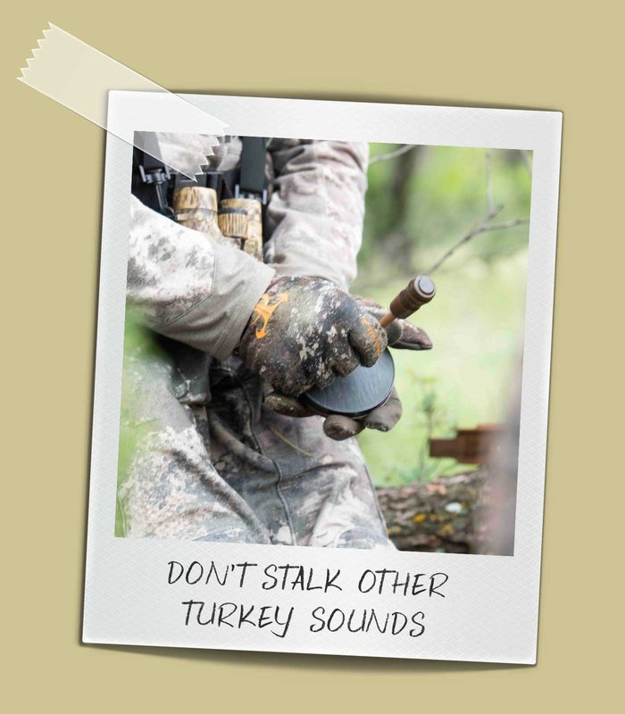 Close up of a person using a turkey call.