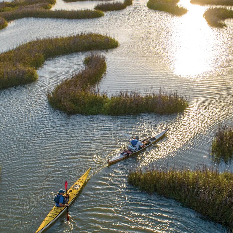 Two paddlers in kayaks on the boggy bayou.