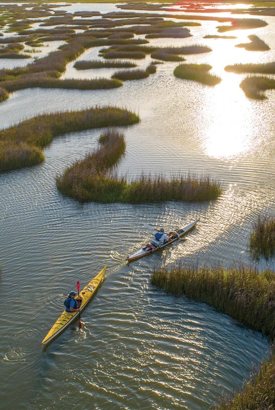 Two paddlers in kayaks on the boggy bayou.