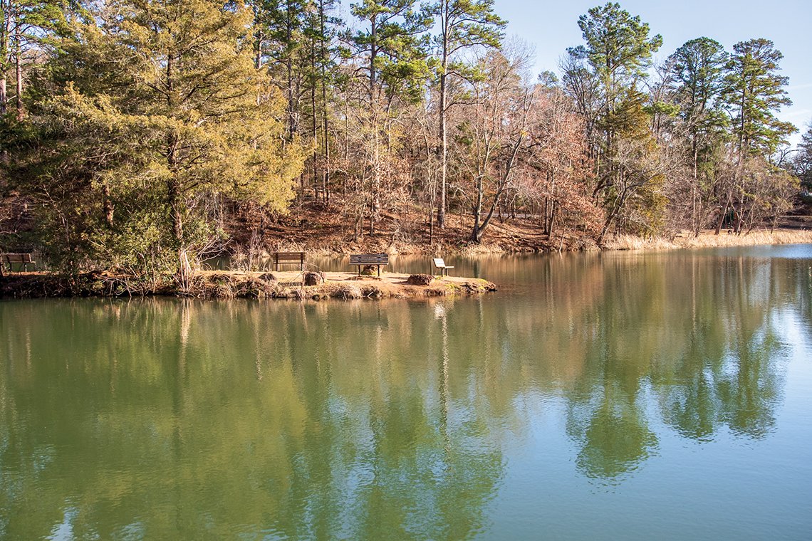 Tyler State Park view of the water with tall pines in the background