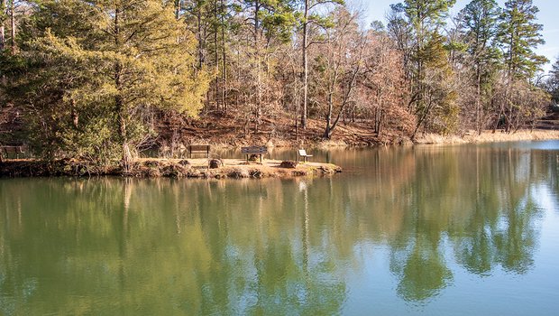 Tyler State Park view of the water with tall pines in the background