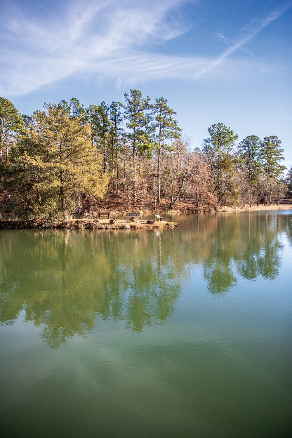 Tyler State Park view of the water with tall pines in the background