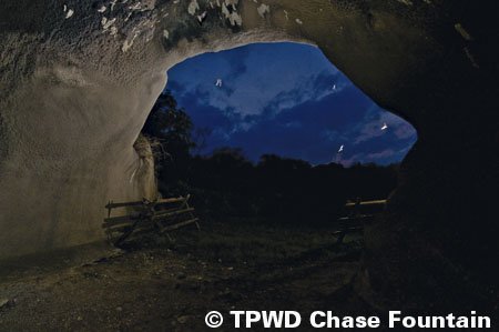 View out of the mouth of a cave of the night sky.