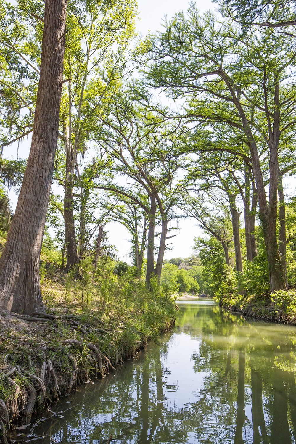 Water running through Honey Creek State Natural Area