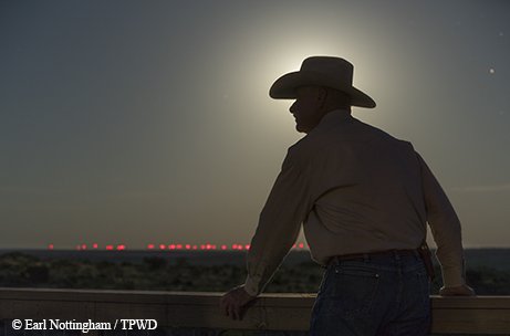Rancher looking a lights from a distant wind farm