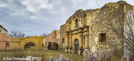 alamo bracketville