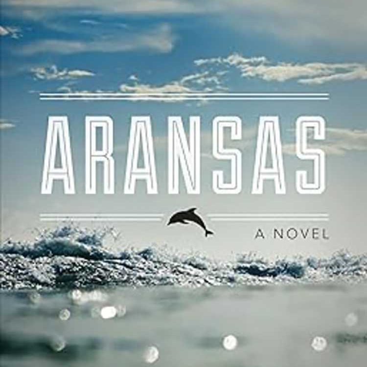 Book cover for Aransas: A novel by Steve Harrigan