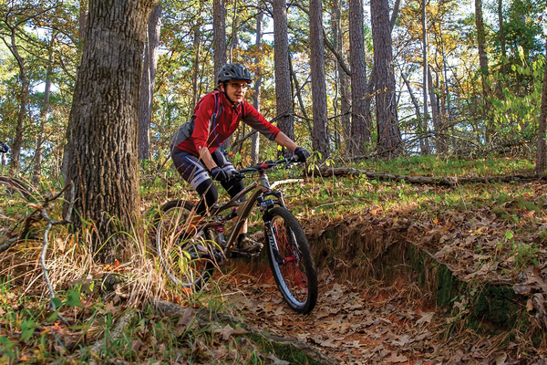 biker on a trail at Tyler State Park with tall pines flanking the trail