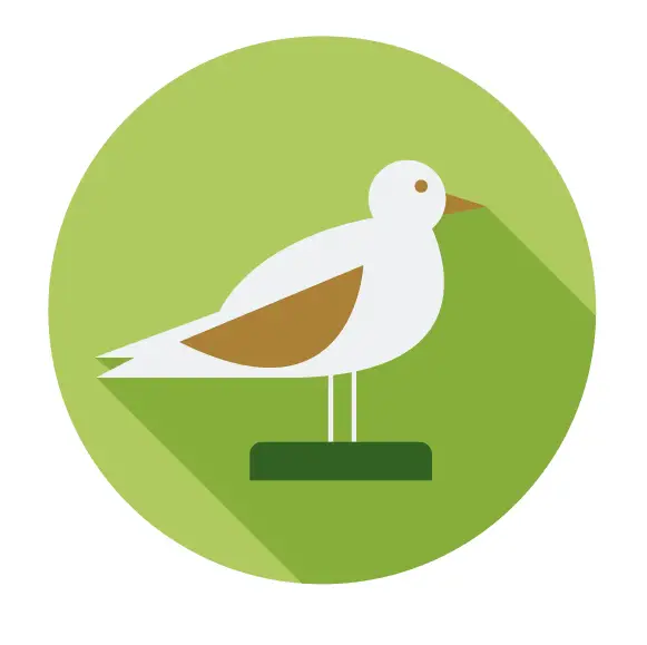 bird in a green circle illustration