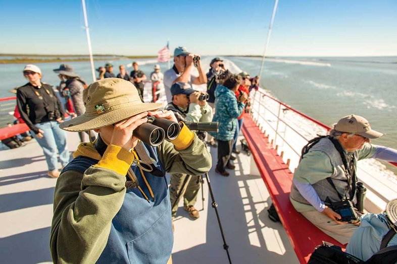 A birder on a boat uses binoculars to search for birds.
