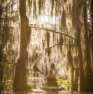 person paddling down caddo lake state park paddle trail