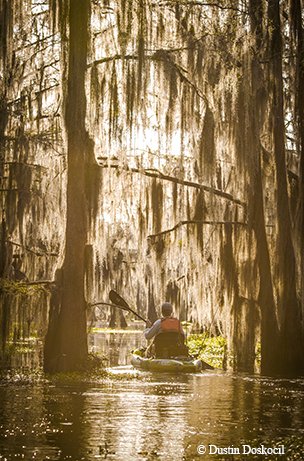 person paddling down caddo lake state park paddle trail