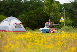 field of small yellow flowers with a tent pitched next to a picnic table  with a couple in the background near the tree line