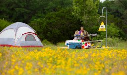 field of small yellow flowers with a tent pitched next to a picnic table  with a couple in the background near the tree line