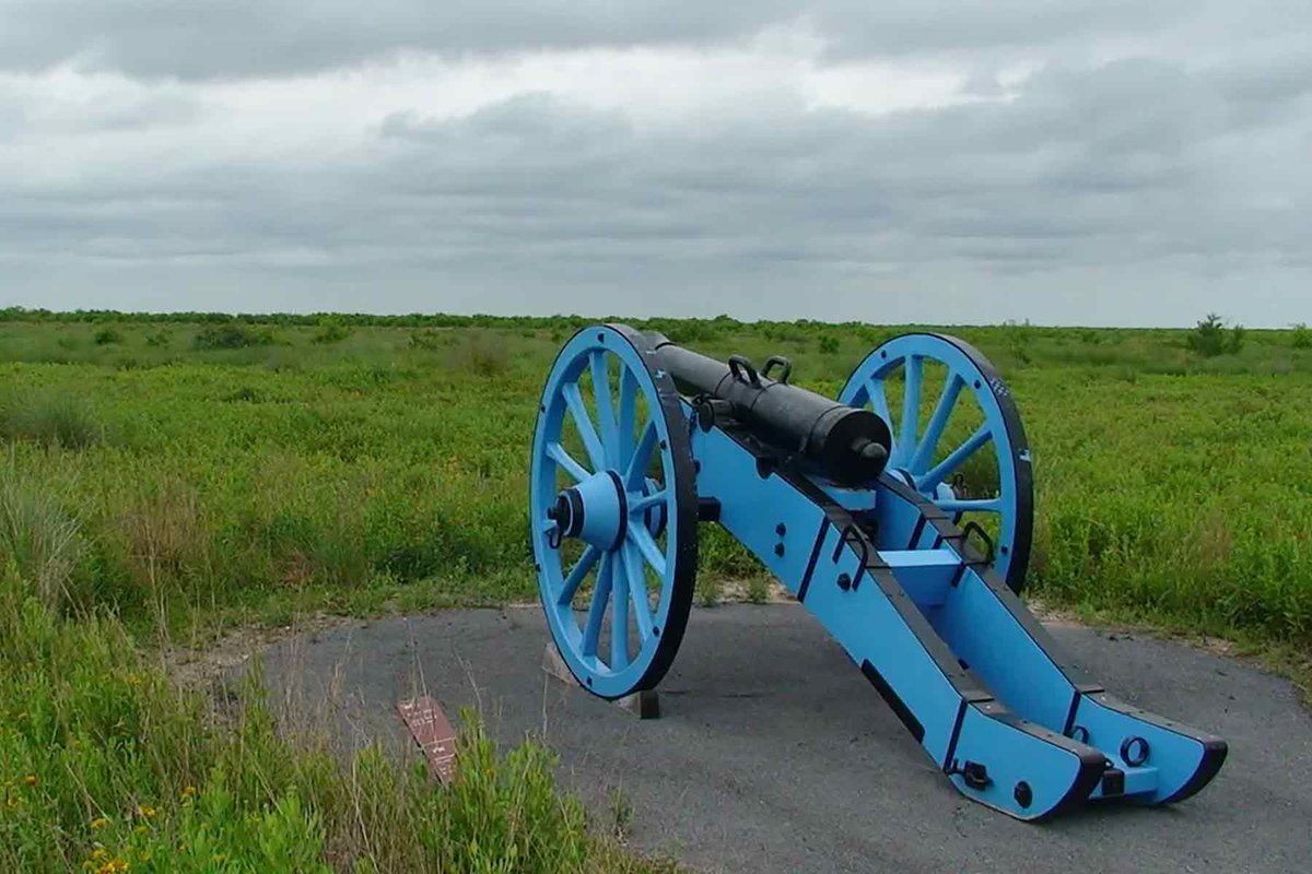 Palo Alto battle site with a blue canon pointed in the direction of an empty, brushy field.