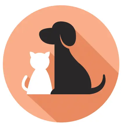 cat and dog in a peach circle illustration