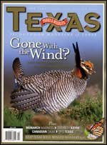 October 2009 Cover - Lessor Prairie Chicken - Title: Gone with the Wind?