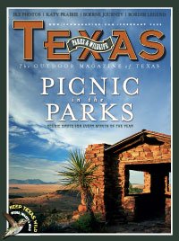 February 2009 Cover - Picnic Pavilion - Title: Picnic in the Parks