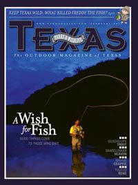 February 2011 Cover - Person in a river fly fishing in the evening - Title: A Wish for Fish
