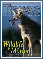 January 2008 Cover - Grey wolf standing in a field - Title: Wildlife in Motion