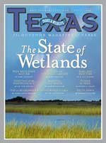 July 2006 - Texas wetland with a rainbow in the sky -  Title: The State of Wetlands