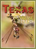 May 2004 Cover - Close up on a dragon fly - Title: Supreme Flyers
