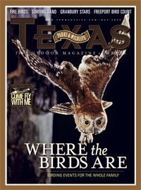 May 2009 Cover - Owl Flying - Title: Where the Birds Are