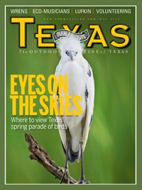 May 2012 Cover with a white bird with a fuzzy head - Title: Eyes on the Skies