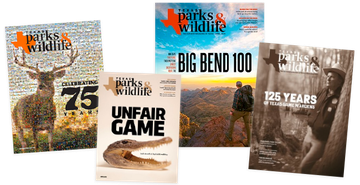 Display of 4 magazine issues.