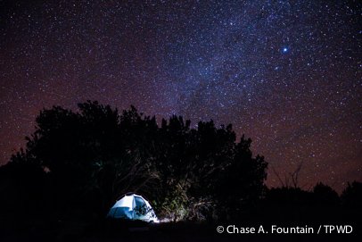 dave roberts' tent with a starry night sky