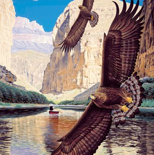 Painting Brown Eagles flying over a river through a canyon with the moon above