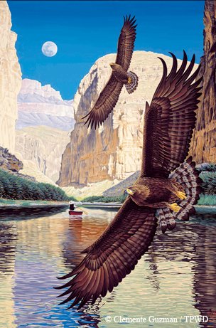 Painting Brown Eagles flying over a river through a canyon with the moon above