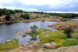 water running through Edward's plateau