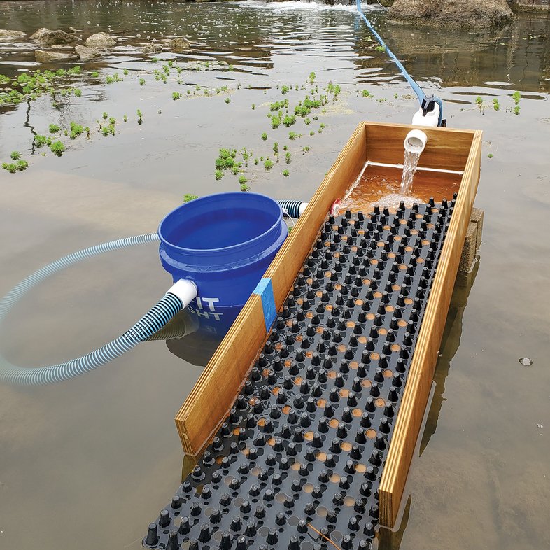 Eel ramp set in water to try and collect eels. The ramp has a black bumpy surface and the sides are made of wood. There is a blue bucket to the side with a blue flex hose attached to the ramp.