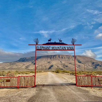 elephant-mountain-wma