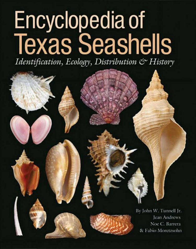 Book cover of the Encyclopedia of Texas Seashells by John W. Tunnell Jr.