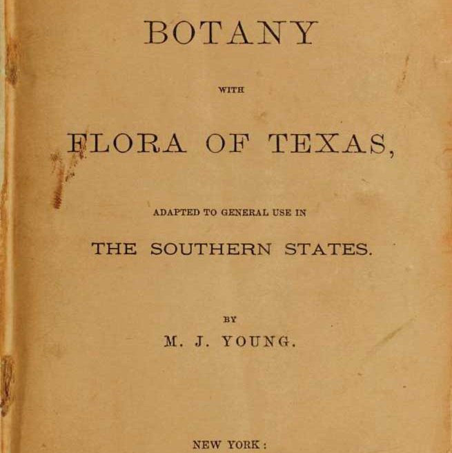 familiar lessons in botany title page