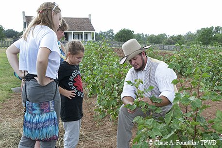 family watching re-enactor show a plant in a field on a farm