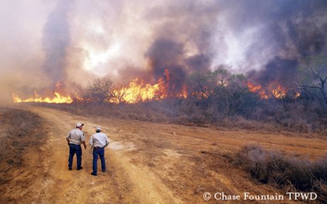 Two people staring at a brush fire