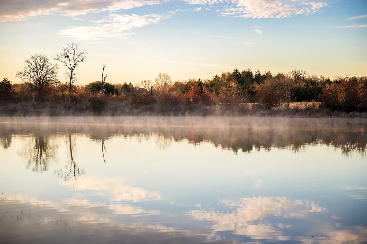 foggy lake with trees in the background