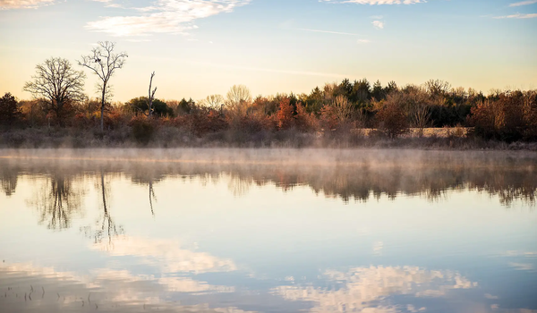 foggy lake with trees in the background
