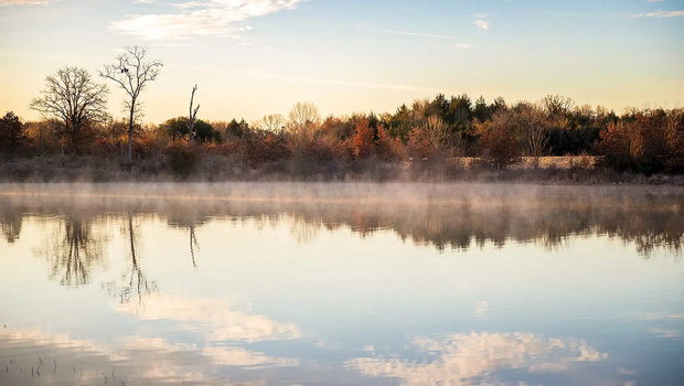 foggy lake with trees in the background