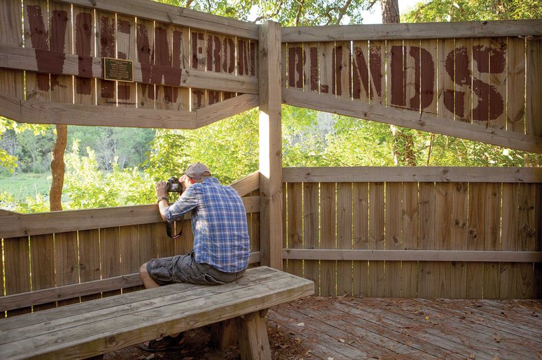 man sitting on a bench with a camera  in the Huntsville bird blind