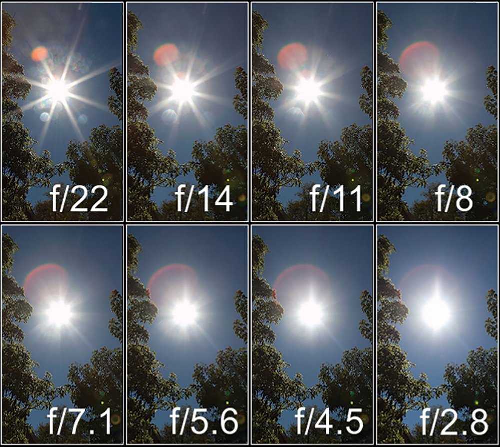 gird of images showing the differences using f-stops 22 thru 2.8 to get a sunburst between trees.
