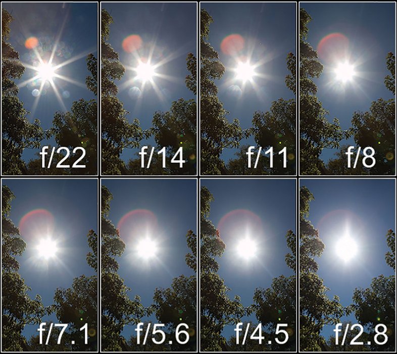 gird of images showing the differences using f-stops 22 thru 2.8 to get a sunburst between trees.
