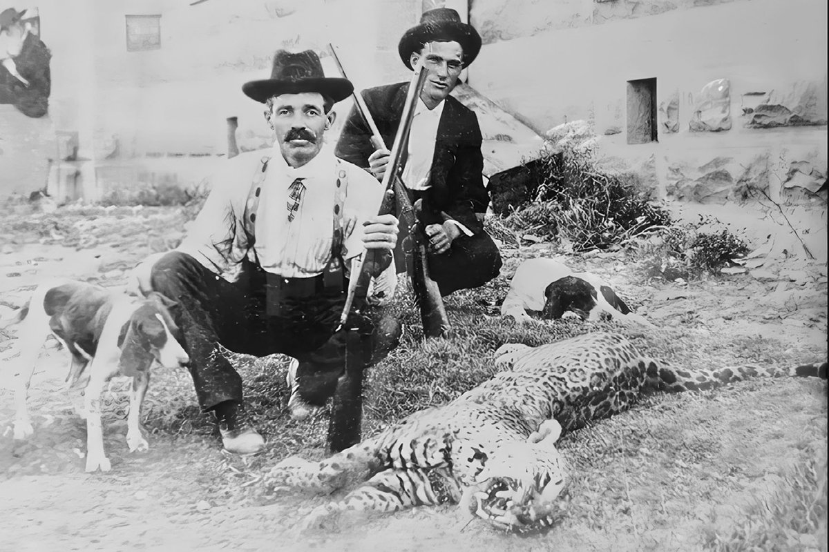 A vintage black & white photo of two men standing next to a jaguar killed in Texas